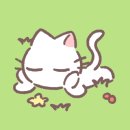 자매손칼국수 이미지
