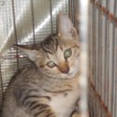 읍내2로 이미지