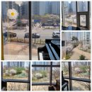 피아노의숲음악학원 이미지