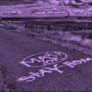 스테이느릿 이미지