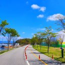 춘천 송암스포츠타운 X-게임장 이미지