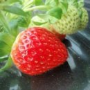 향긋농장 이미지