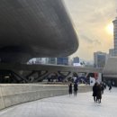 책마루도서관_중동 이미지