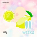 꿈틀꿈틀작은도서관 | 신방콕 임신일기