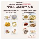 다니다니 이미지