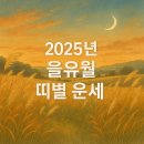 ★2025년 9월 을유월 띠별운세, 시작보다 마무리에 집중하는 시기★ 이미지