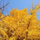 목동실버복지문화센터 이미지