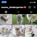 무무유치원 이미지