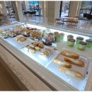 카페라임 이미지