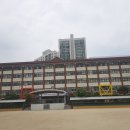 내정초등학교 이미지