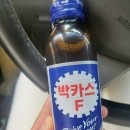 차이랑 대구경북지사 2분기 모임