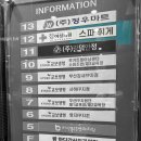 스파휘게 하단점