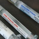 Pacific BUBBLES 이미지