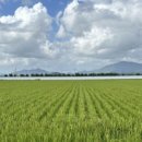 관광주차장 화장실 이미지