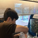 강정동-74 | 2박 3일로 부족했던 여름 제주🏝️☀️🕶️