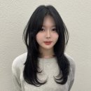 티엔피 이미지