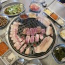 제주 기사투어 | 제주 솔라티 투어, 기사 포함 제주도 렌트 이용 후기