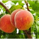 불당동물병원 이미지