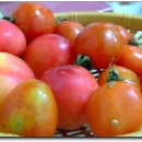 일품해물탕 이미지