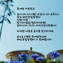 붕어빵 치유학교 1일 세미나 이미지