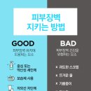 연주피부