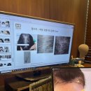 모더함의원 이미지