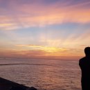 제주마중in판포 이미지