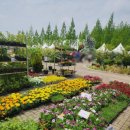 힐링산업 | 제 5회 전주정원산업박람회 방문 후기 - 가족과 함께, 도시 속 초록 힐링을!