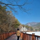 한방어린이공원 앞 | 제천 비룡담저수지 둘레길 비룡담길 한방생태숲공원 산책