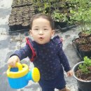 자매농장 이미지