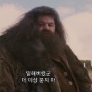 드홀헤어 주안점