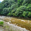 백운일출캠핑장 이미지