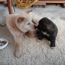 당골농장 이미지