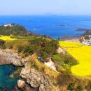 부안할매바지락죽 이미지