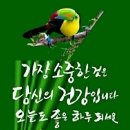 봉담2지구에이스공인중개사사무소 | 💫봉담2지구 중심상가 지음프라자2👍