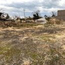 일과2리 이미지