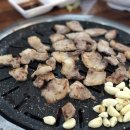 전설의딧고기
