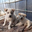 만세동농장 이미지