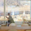 아는사람 지인 | 세종 브런치 느좋 카페, 아는 사람만 아는 본커피힐 내돈내산 후기