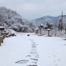 숲속의 하얀집 이미지