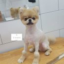 강산동물병원 이미지