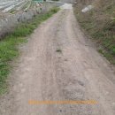 남밀양농협주유소 이미지