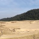 위드오션2 이미지