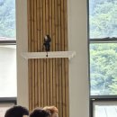 660 기 믿음 사랑 순례 거룩한미사 피정 벗!(26.6,24-26).661 기 엠마오 산행 피정 38번째, 청송주왕산!(6,29). 이미지