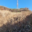 동백탑공인중개사사무소 이미지