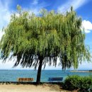 중국어기초 이미지