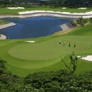 그린필드 이미지