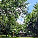송당본향당 | 제주 국가유산 방문의 해 시즌2 스탬프 투어 장소 송당 본향당과 제주 당오름