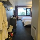 제주브릭스 | 제주(서귀포)숙소 후기: 제주 브릭스호텔