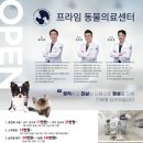 프라임동물병원 이미지